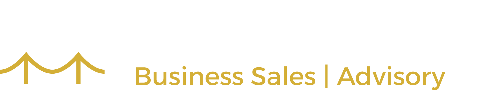 SunBridge M&A Advisors-Business Sales-M&A Advisory-Logo-New Transp